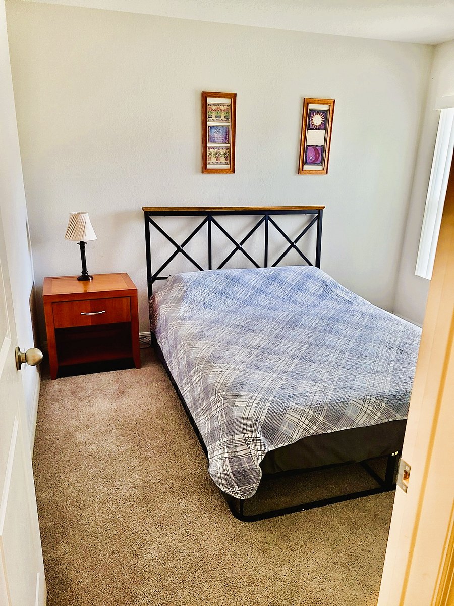 Furnished Finder property 462194_1 photo 12