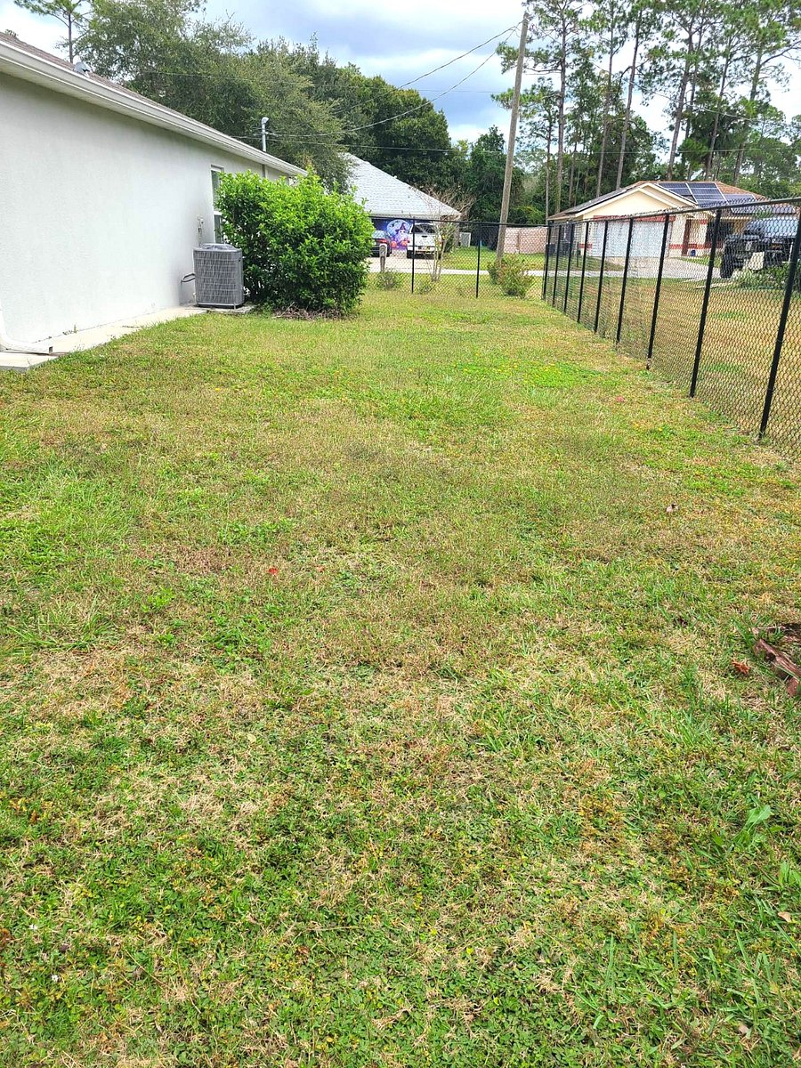 Furnished Finder property 462194_1 photo 17