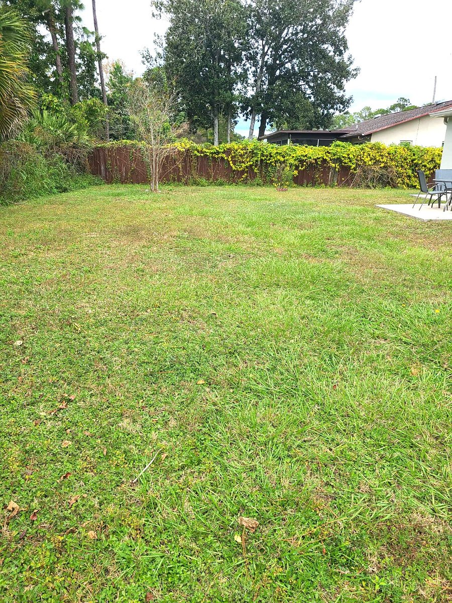 Furnished Finder property 462194_1 photo 18