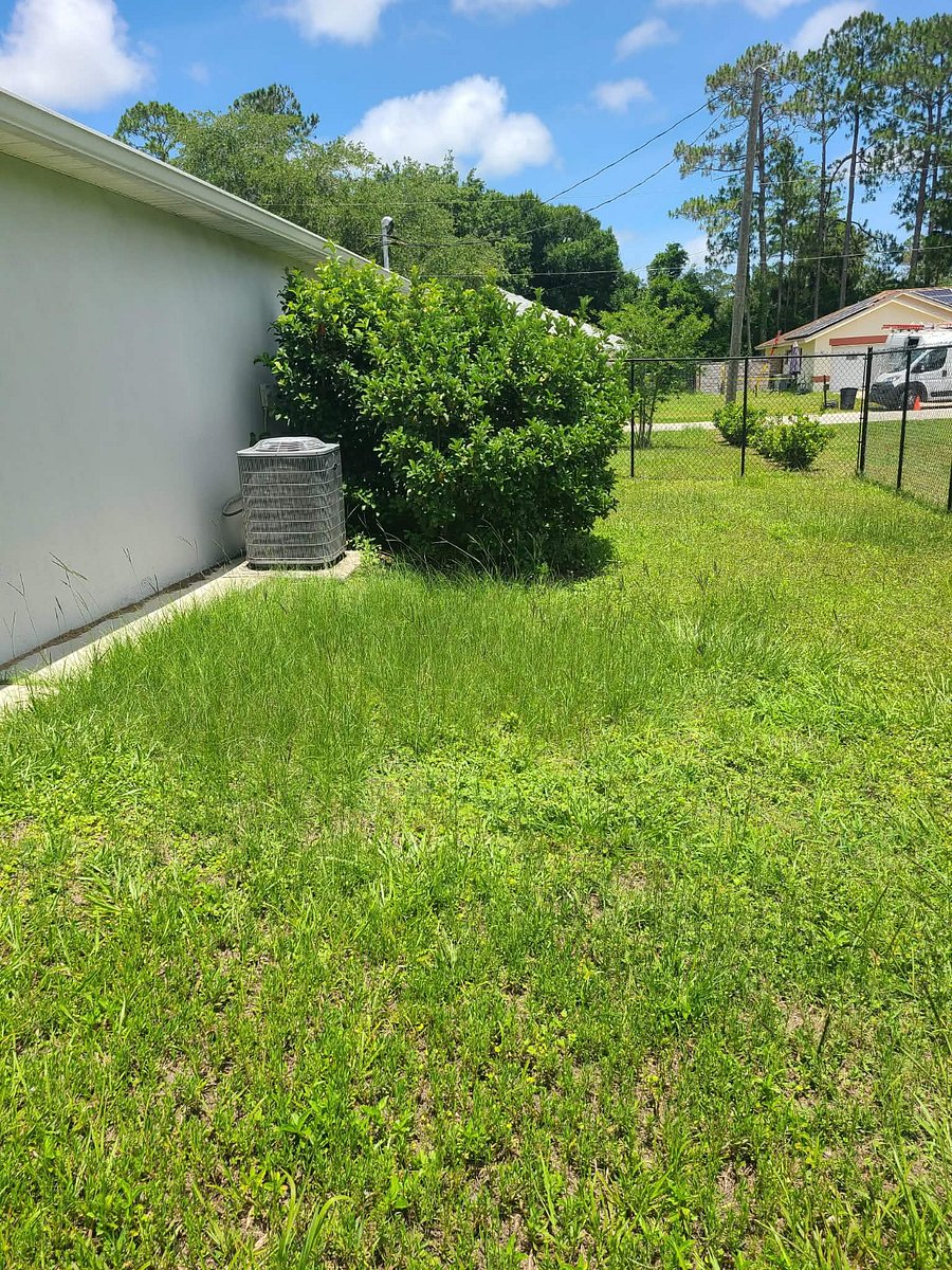 Furnished Finder property 462194_1 photo 20