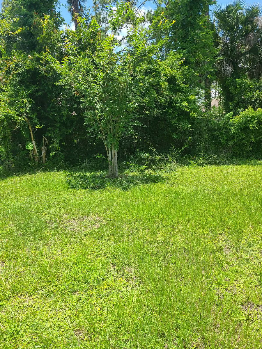Furnished Finder property 462194_1 photo 21