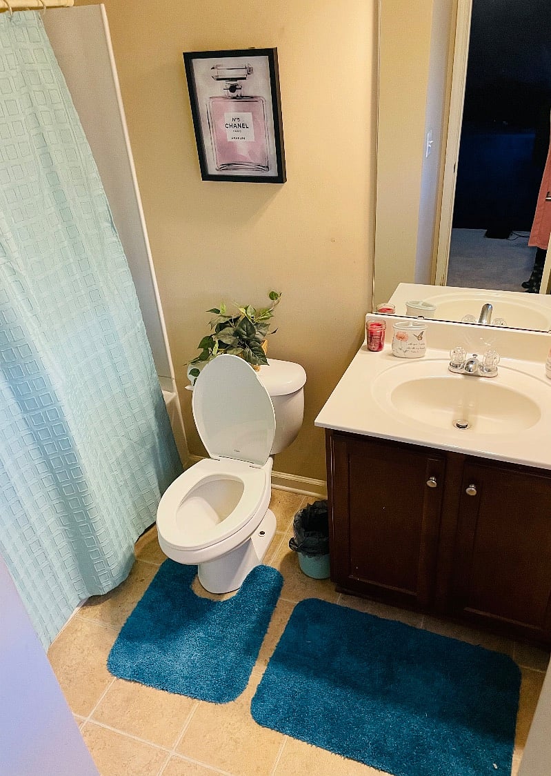 Furnished Finder property 462363_1 photo 7