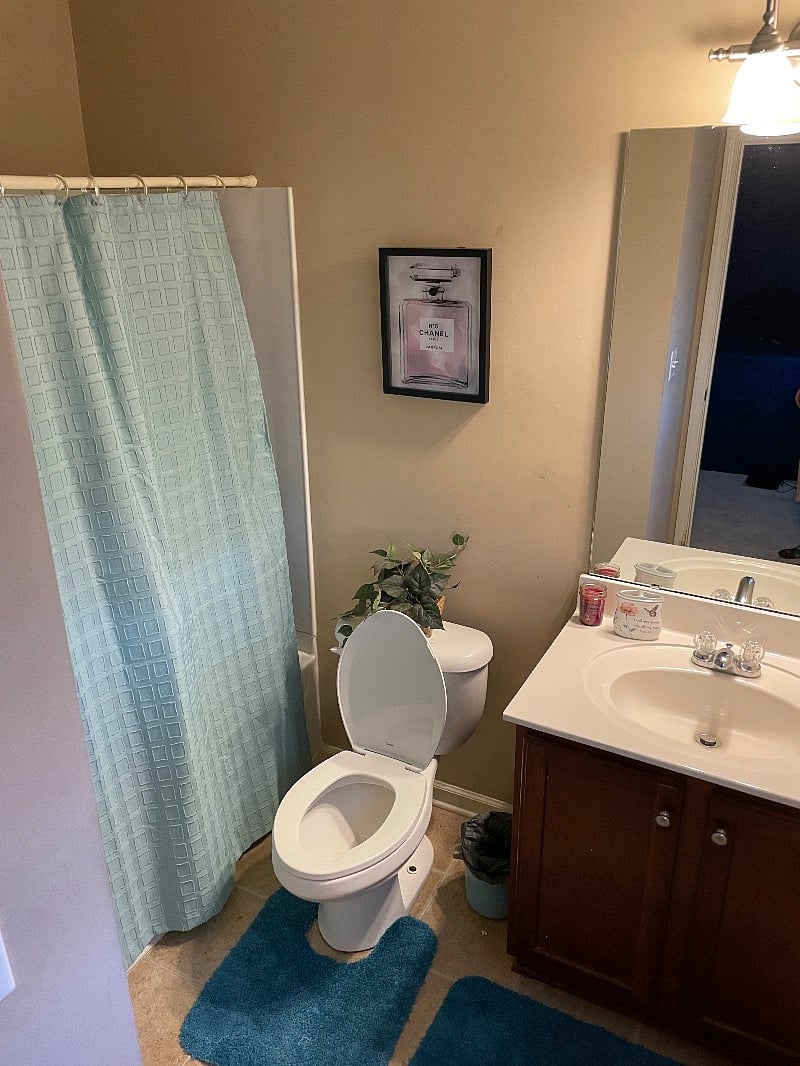 Furnished Finder property 462363_1 photo 9