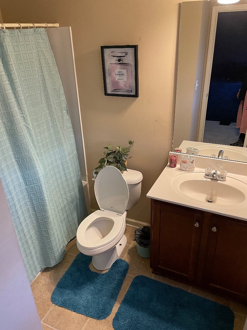 Furnished Finder property 462363_1 photo 13