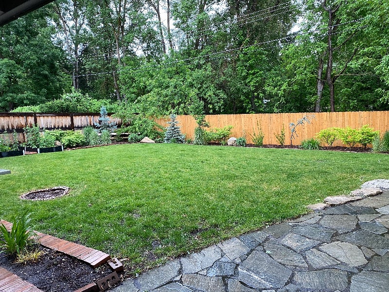 backyard