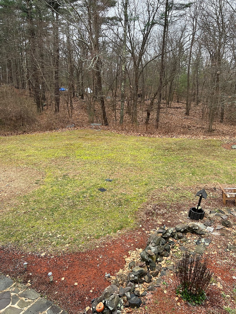 Furnished Finder property 462426_1 photo 19