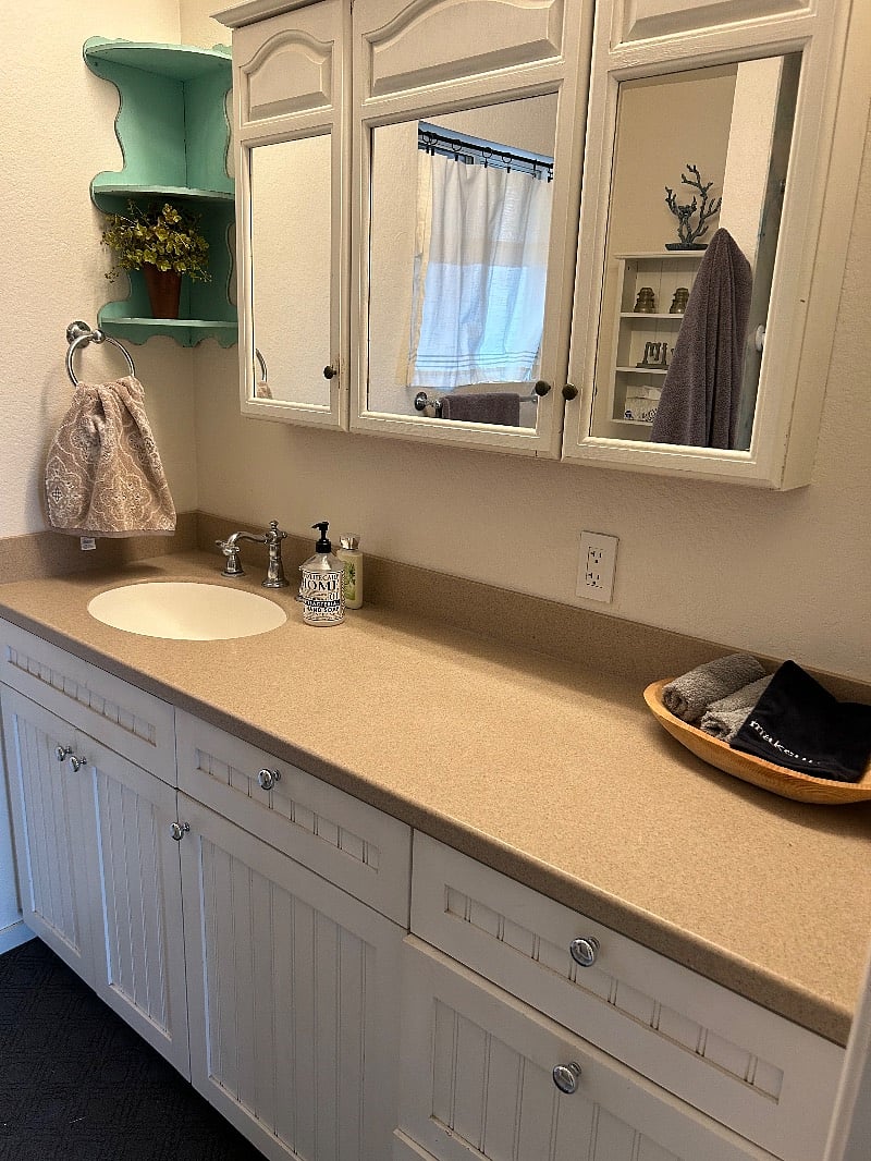 Bathroom counter and ample storage underneath