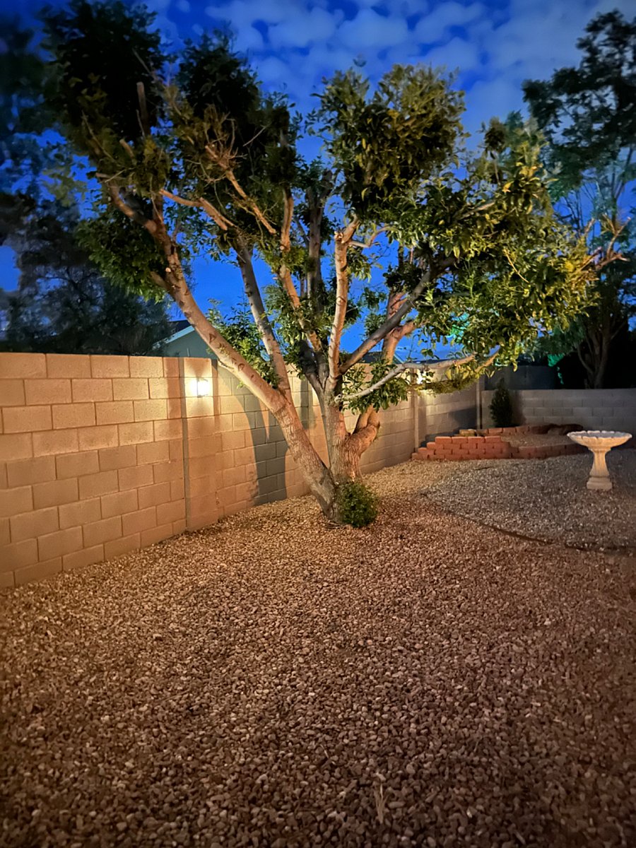 Furnished Finder property 462479_1 photo 31