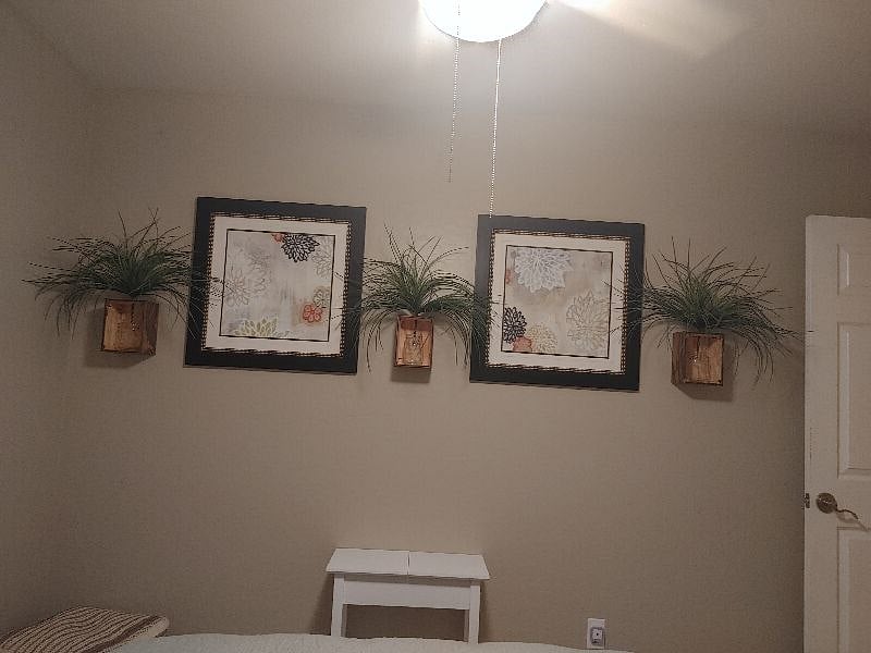 Furnished Finder property 462692_1 photo 32
