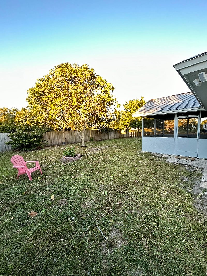 Furnished Finder property 462904_1 photo 19