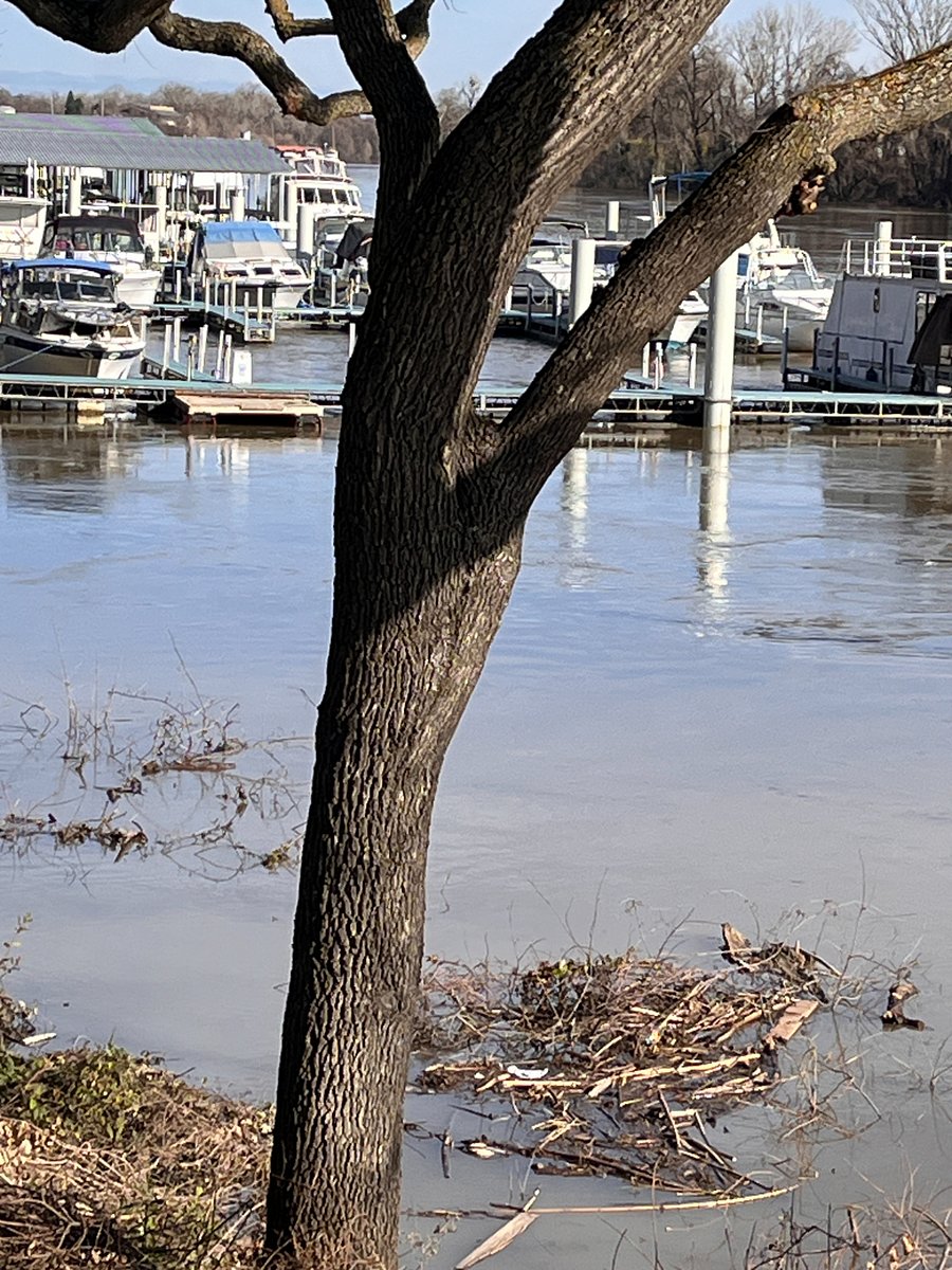 River view
