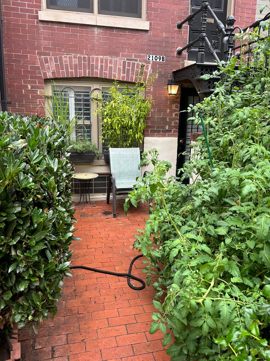 Furnished Finder property 462943_1 photo 11