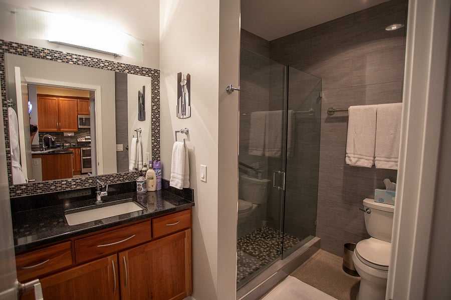Furnished Finder property 463100_1 photo 12