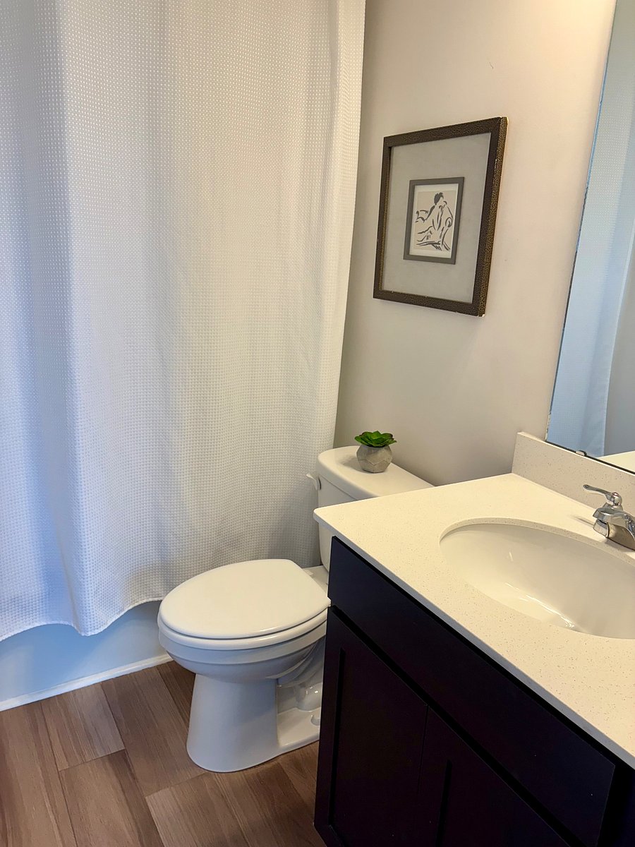 Furnished Finder property 463198_1 photo 6