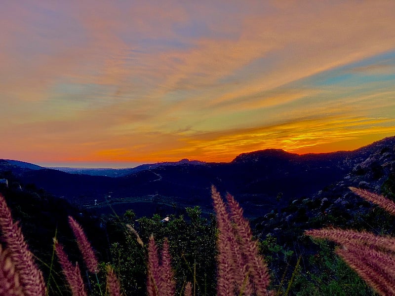 Furnished Finder property 463267_1 photo 13