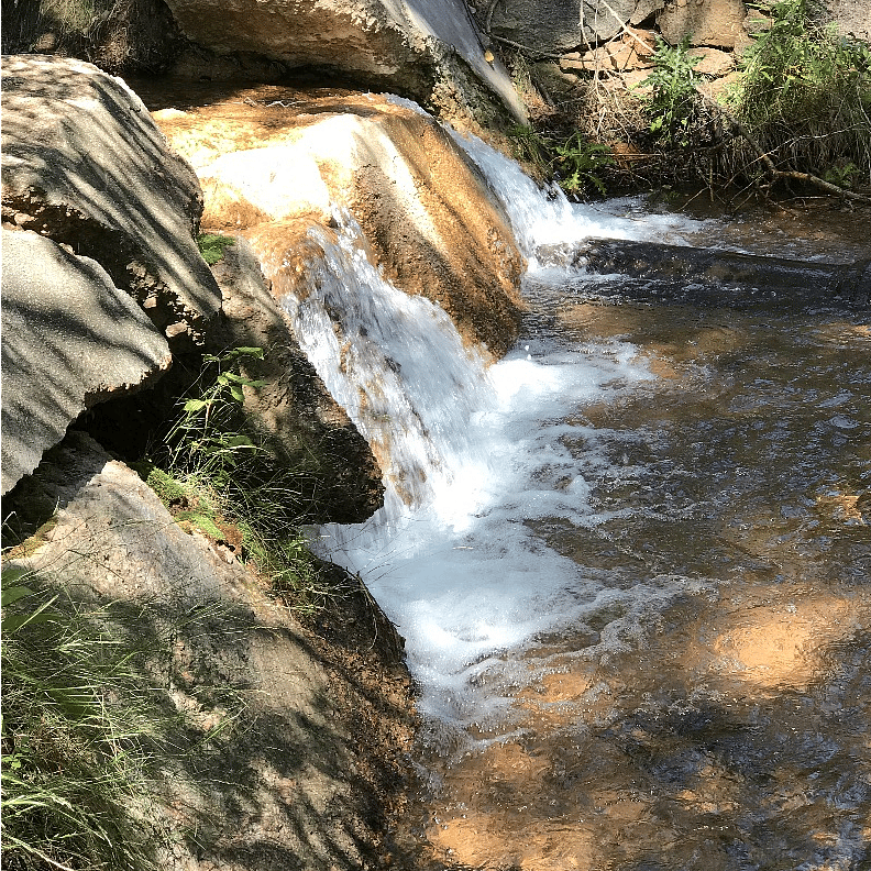 A Creek Near our Condo
