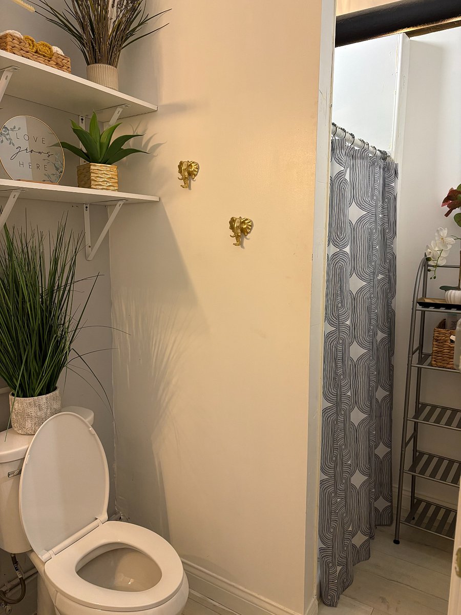 Furnished Finder property 463743_2 photo 14