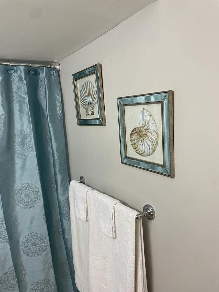 Master bathroom (full)