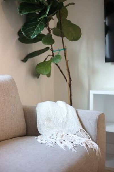 Furnished Finder property 463774_1 photo 6