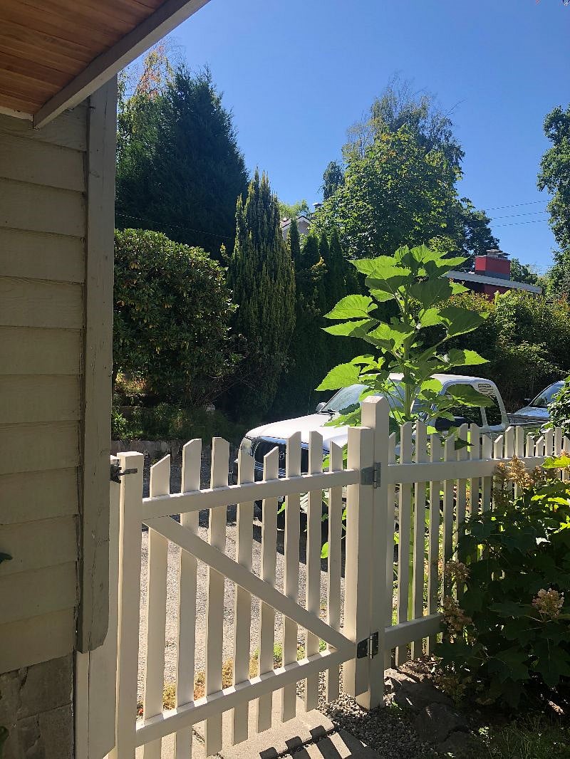 Parking in Driveway available