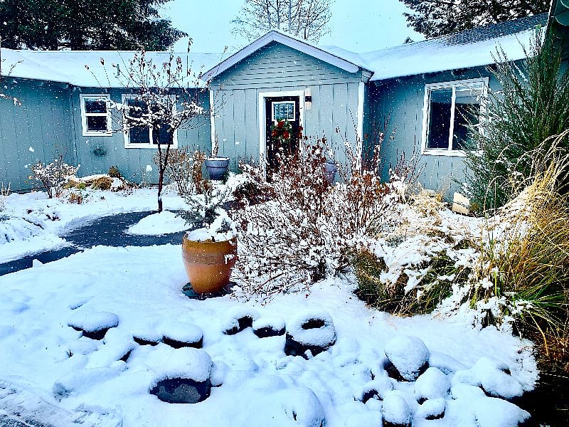 Views of snowy winter moments