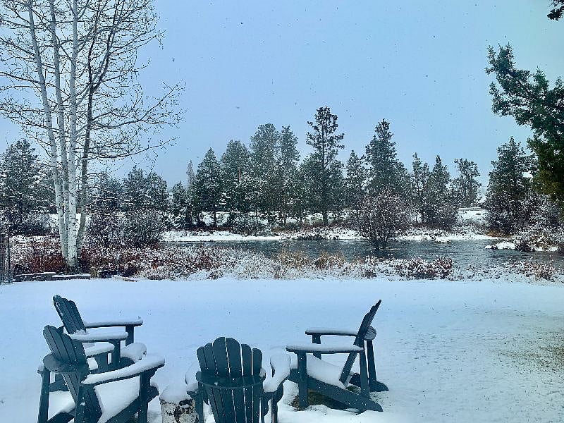 Views of snowy winter moments