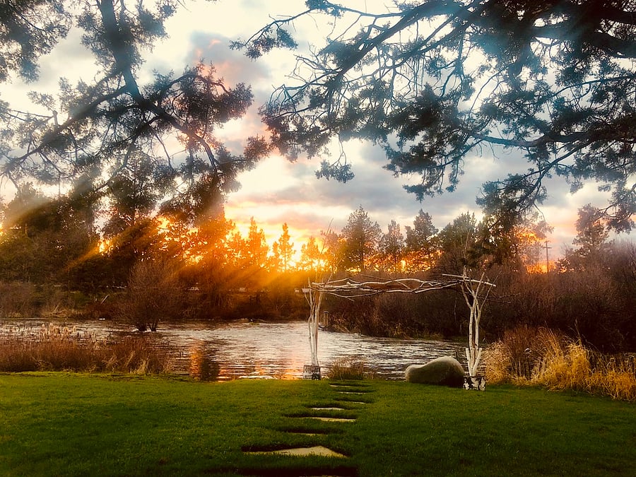 Back yard - relaxing spot for rejuvenation!
