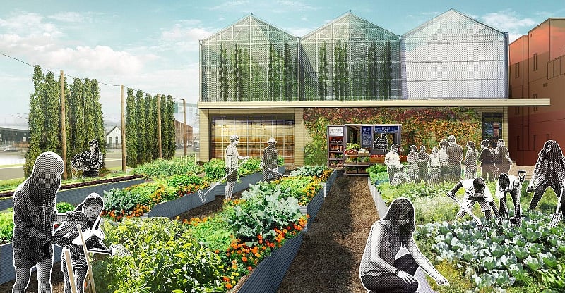 Community Garden