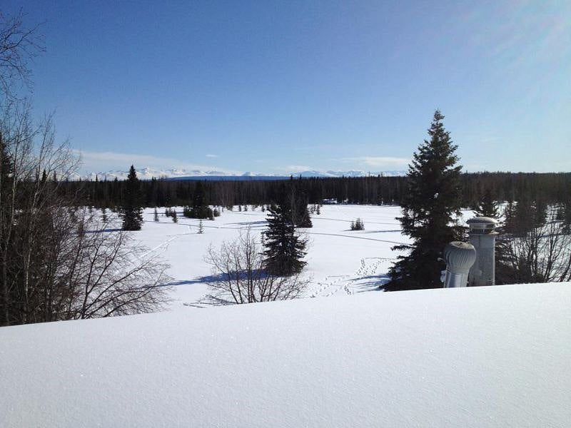 Sunny winter day!