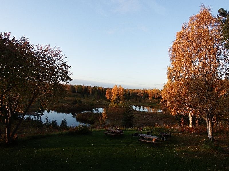 A fall view of the back yard and pond area