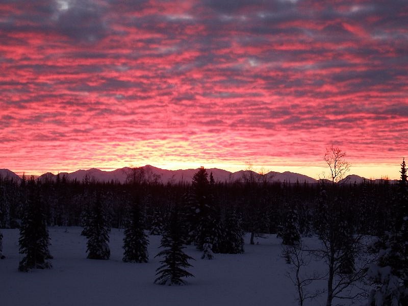 A winter solstice sunrise over the meadow