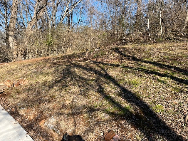 Back yard