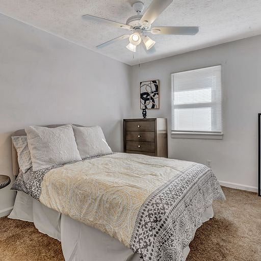 Furnished Finder property 464732_1 photo 11