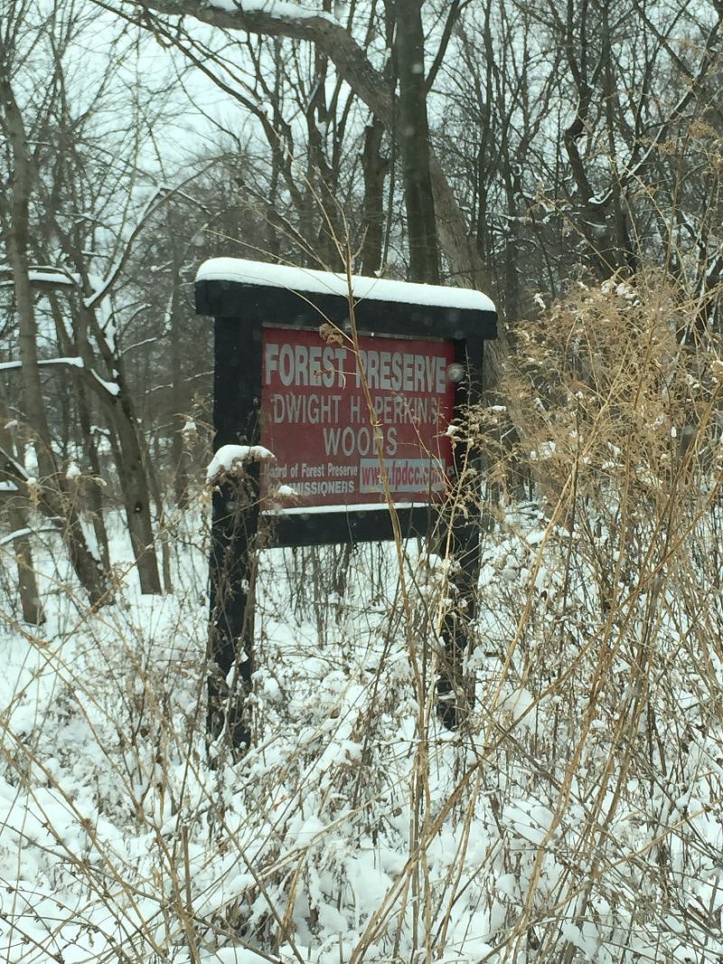 There are wooded areas and paths along the channel for winter walks, snow-shoeing, and xc skiing.