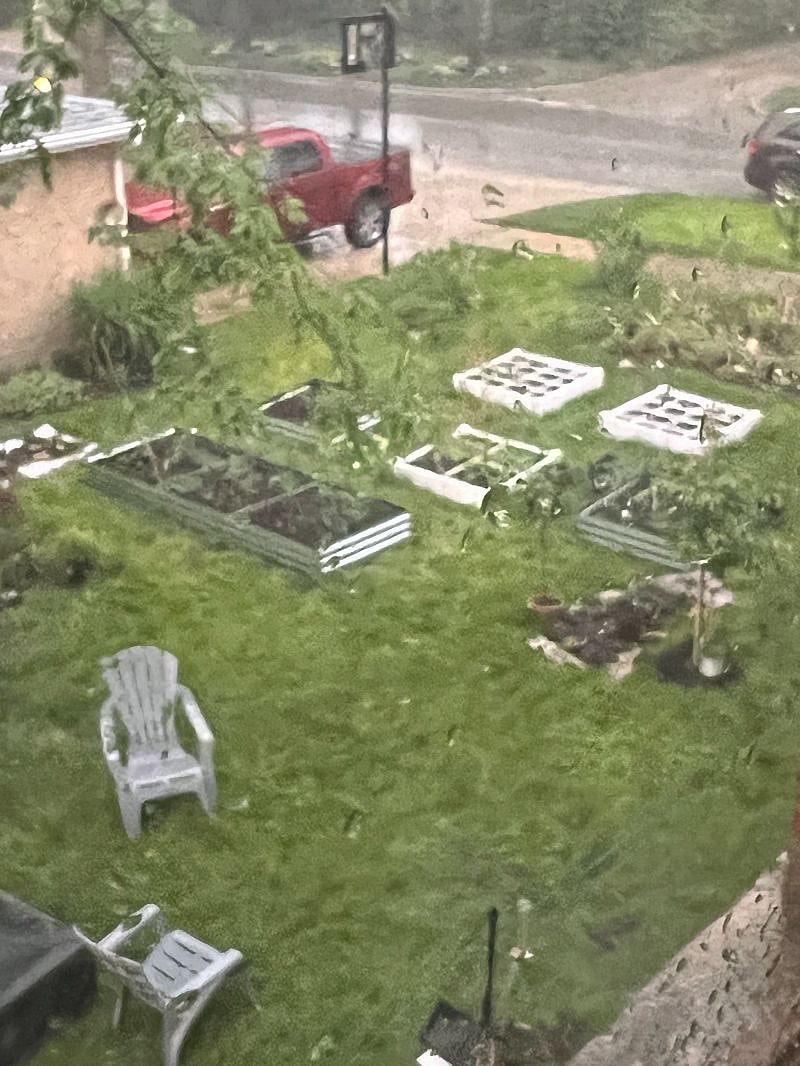 View from the 2nd floor overlooking the raised beds which take up the front 1/3 of the lawn closest to the sidewalk and street.