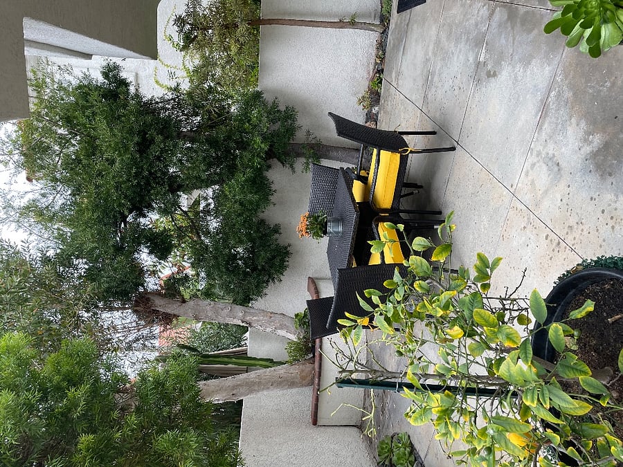 Furnished Finder property 464926_1 photo 15