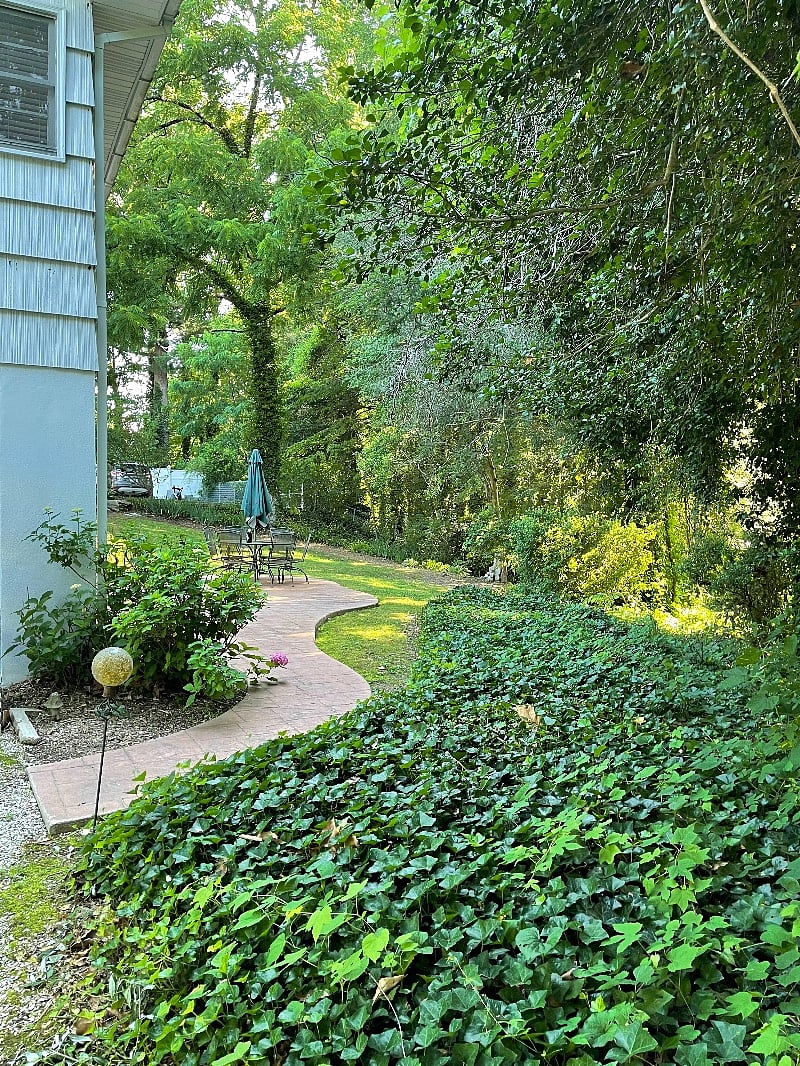 Backyard Private Patio