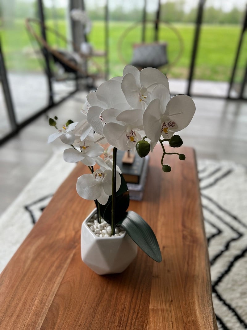 Furnished Finder property 465617_1 photo 27