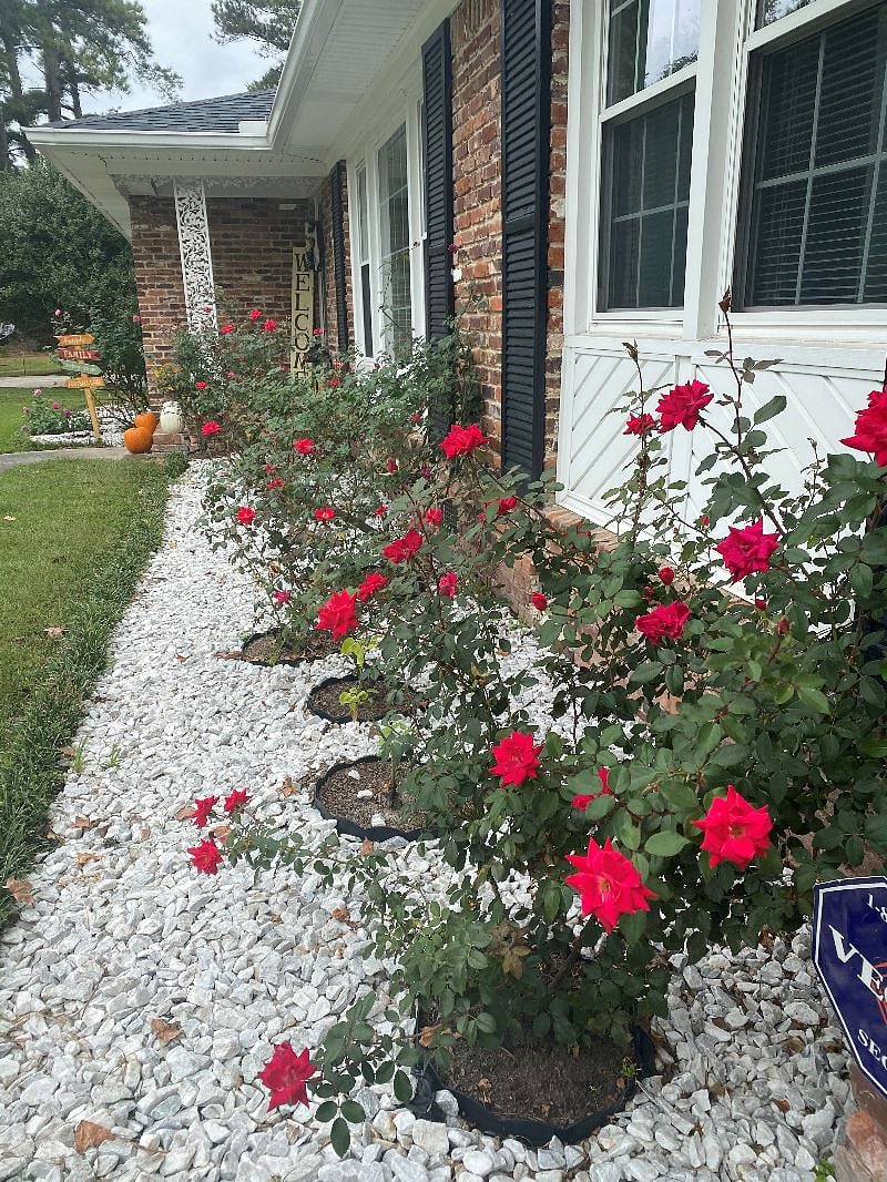 Furnished Finder property 465807_1 photo 3