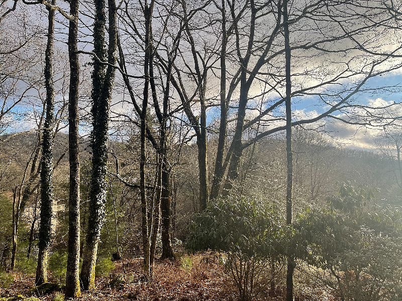 Winter view of backyard from the porch of the apartment
