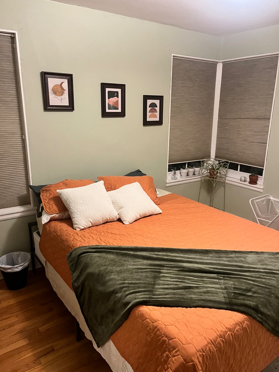 Furnished Finder property 465991_1 photo 15