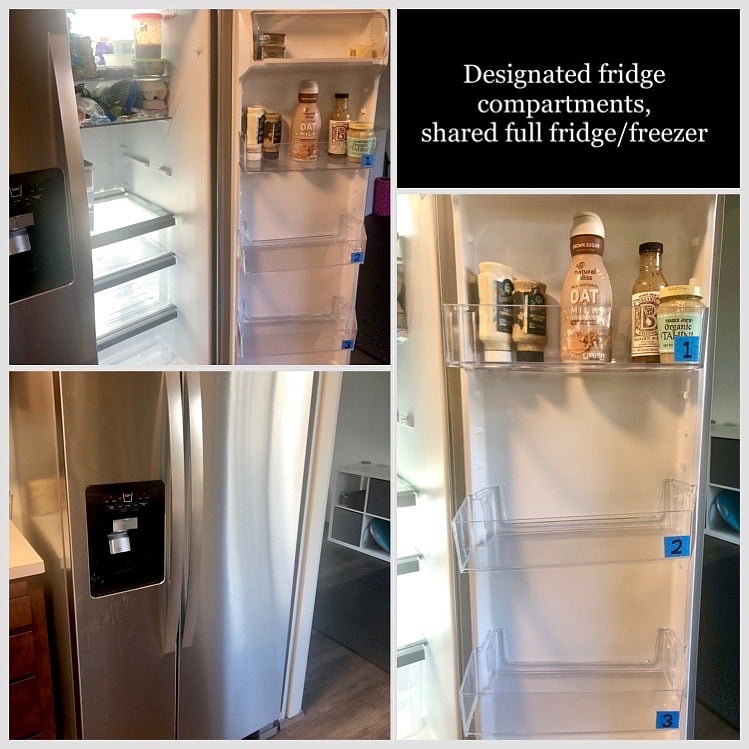 Access to full fridge (shared), some assigned space