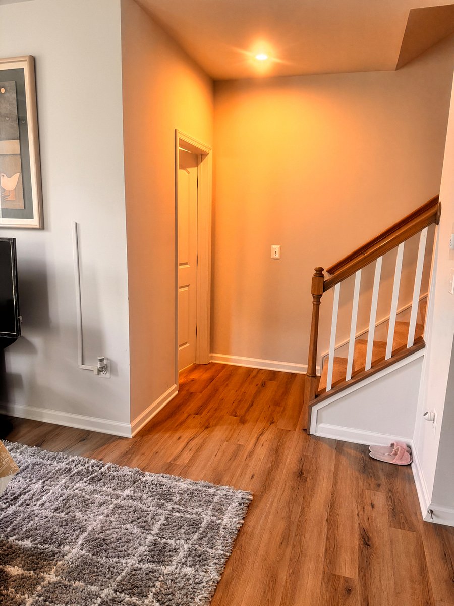 Furnished Finder property 466029_1 photo 12