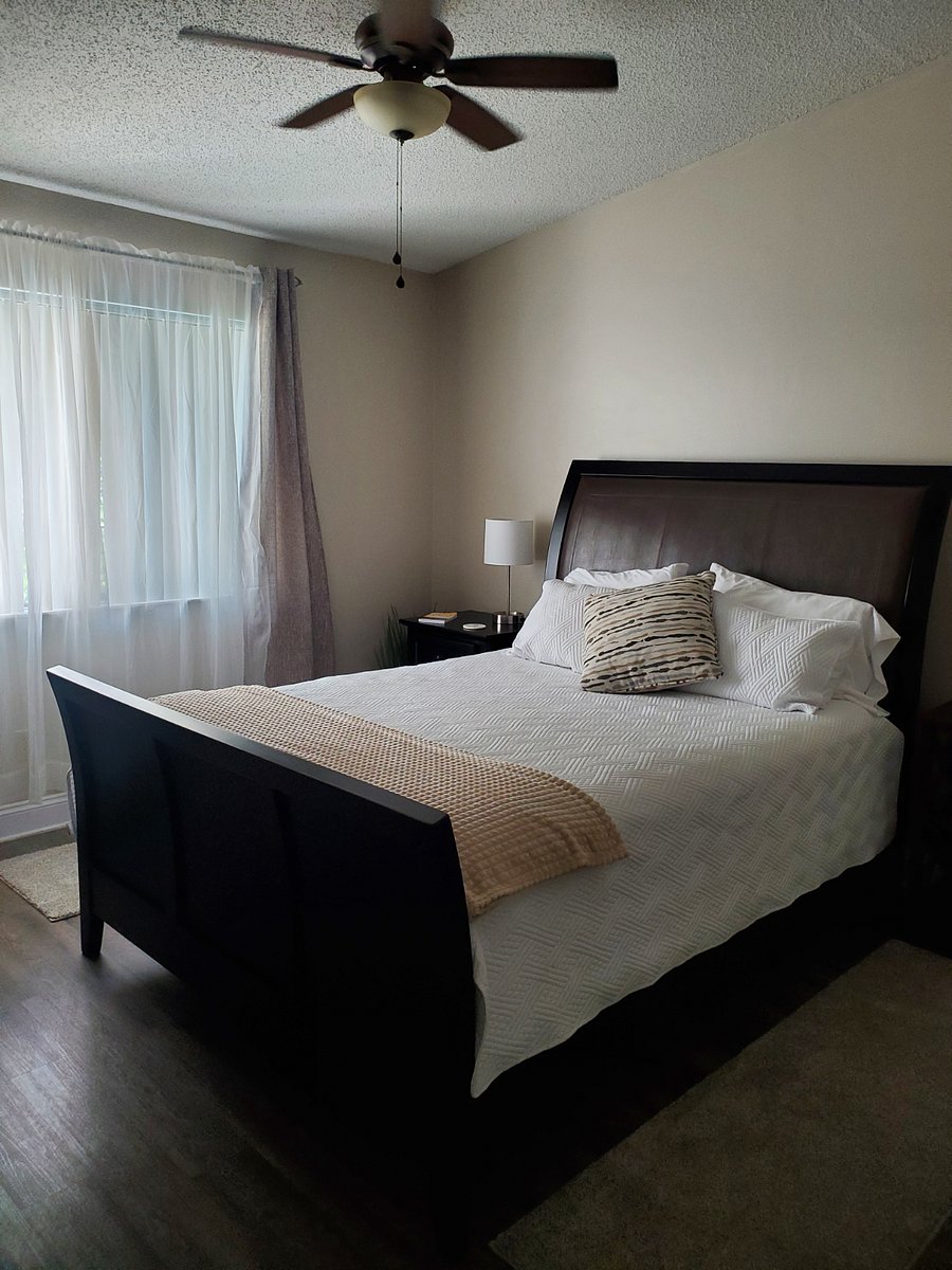 Furnished Finder property 466109_1 photo 15