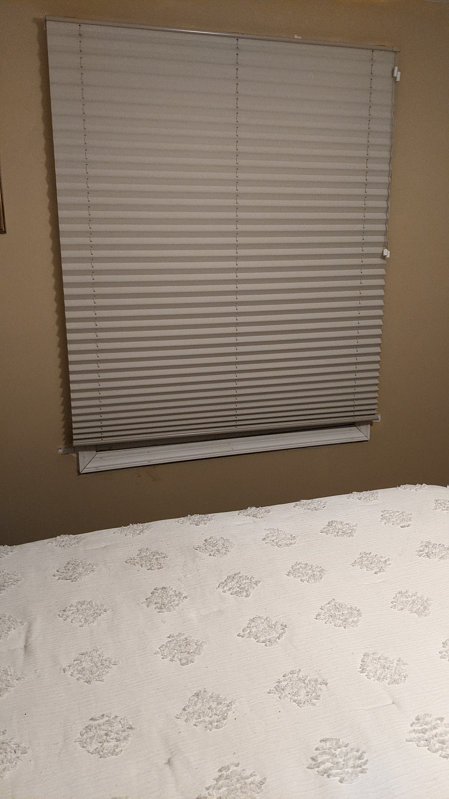 Furnished Finder property 466300_1 photo 12