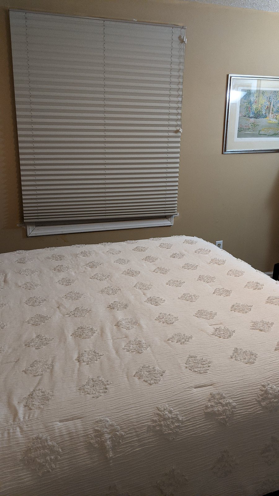 Furnished Finder property 466300_1 photo 18
