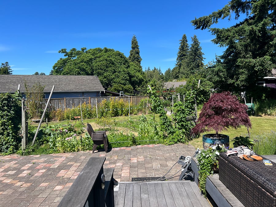 large yard.