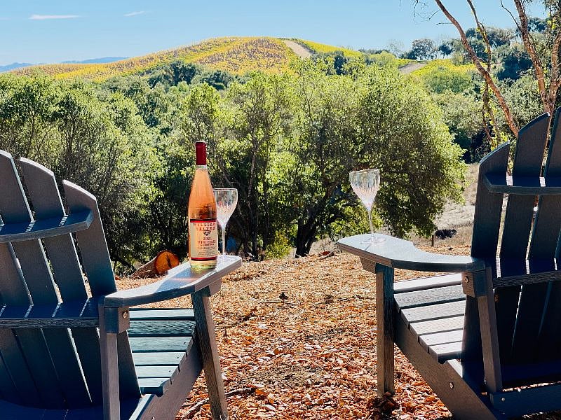 Enjoy a glass of Kistler wine under the oak in the side yard while you overlook the famous Kistler vineyard!