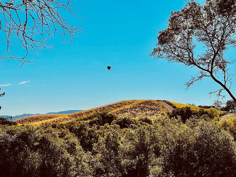 Majestic views the Mayacama Mountains from the hillside yard area- watch the hot air balloons!