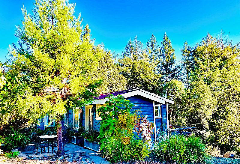 Guest cottage on 6.5 acre property with vineyard/redwood/oak forests, rural feel but easy 10 min access to HWY101.